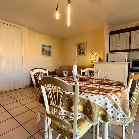 Apartment Climatise Proche Et Commerces - 2 Pieces, 4 Pers, Parking Prive, Animaux Acceptes - Fr-1-226b-177 *